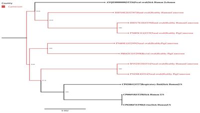 Genome Sequencing of Extended-Spectrum β-Lactamase (ESBL)-Producing Klebsiella pneumoniae Isolated from Pigs and Abattoir Workers in Cameroon